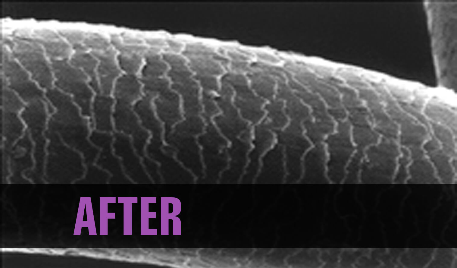AfterPic AfterPic
