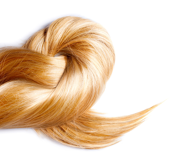 Healthy Blond Hair isolated on white Healthy Blond Hair isolated on white